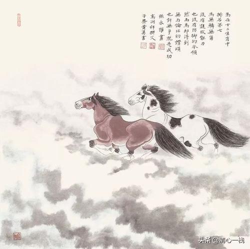是羊大一点还是狗大一点极速:巨型泰迪多少钱一只？好养吗？