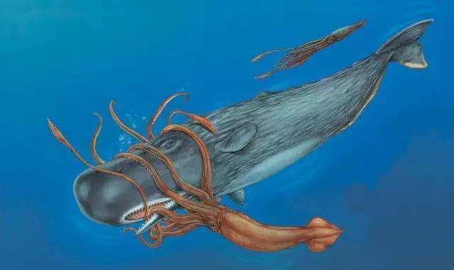 一个人被鲸鱼吞进肚子,为什么手里有刀,也无法破腹逃出来?