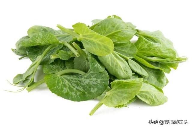 刺客聂政:春秋战国五大刺客为何以聂政为首？汉朝刺客为何能全身而退？