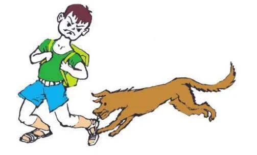 人被狗追时一蹲下狗马上就跑,这在狗的眼里代表什么?-生活百科