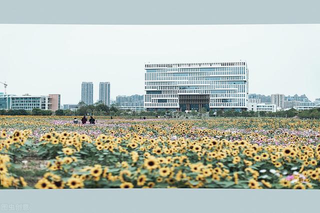 河海大學(xué)和武漢理工大學(xué)哪個好?誰更強(圖7) 河海大學(xué)和武漢理工大學(xué)哪個好?誰更強(圖7)