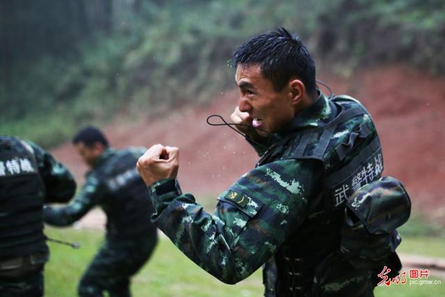 广西狼兵是一种什么样的部队？