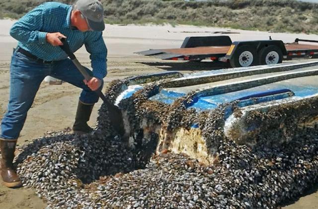为什么禁止食用海虹，船底清污刮下来的几十吨海鲜可以吃吗