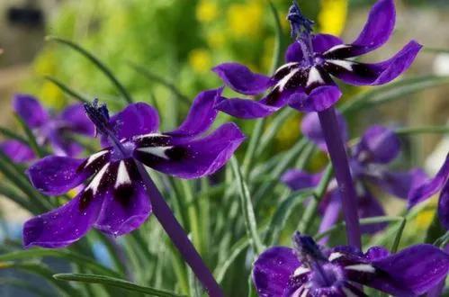 你记忆中儿时的谣歌都有哪些？插图7