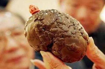 狗宝是什么东西啊咸菜:哈尔滨的“桔梗咸菜”是什么美食？