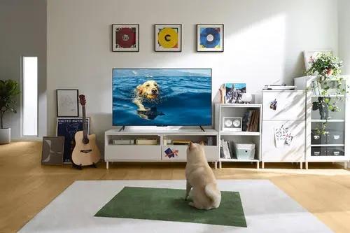 入户的光纤箱在餐厅，想把路由器放到客厅，如何实现客厅电视、卧室电视和宽带的使用？插图17