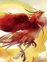 《山海经》到底是一部无稽之谈的叙述散书还是远古大陆的真实记载？