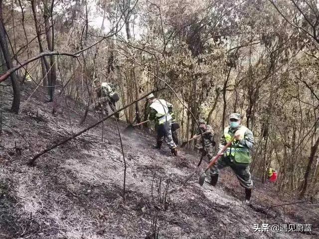 中国飞机出过事情吗，东航客机坠毁，为什么现场没有发现遇难者遗体