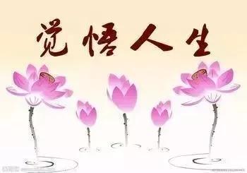 女婿到丈母娘家应该怎么做？