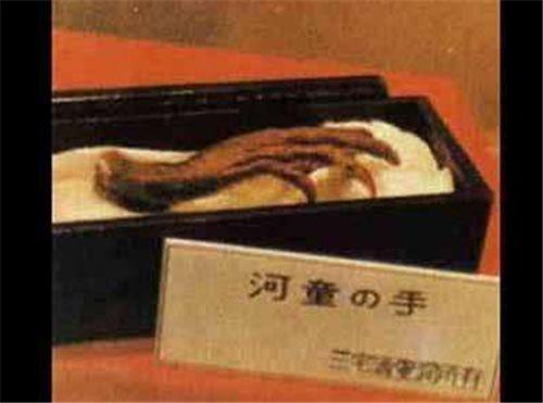 真龙被首次发现:日本瑞龙寺的真龙标本，为何明令禁止鉴定真假其中隐藏什么猫腻