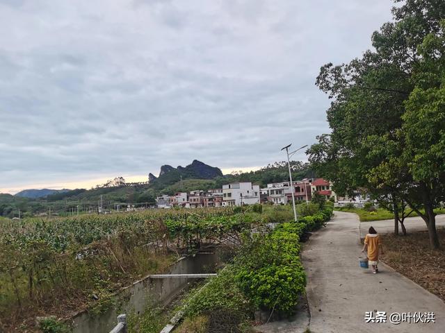如果一觉醒来发现自己穿越了,你会希望是什么年代？