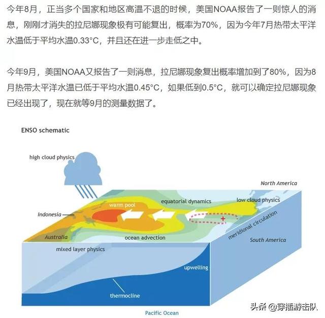 蓝星狼蛛手机在线观看:有好的创业电影题材和记录片吗？请推荐一下，谢谢？