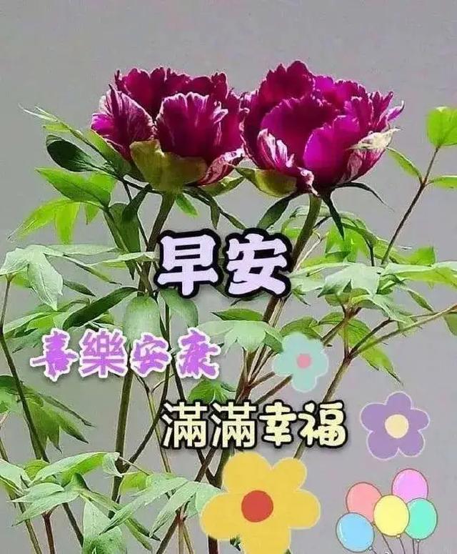 如果完全按照道德与法治课本上做人会怎样