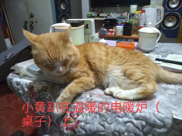 许喵喵mickey:笑到嘴巴抽筋的笑话有哪些