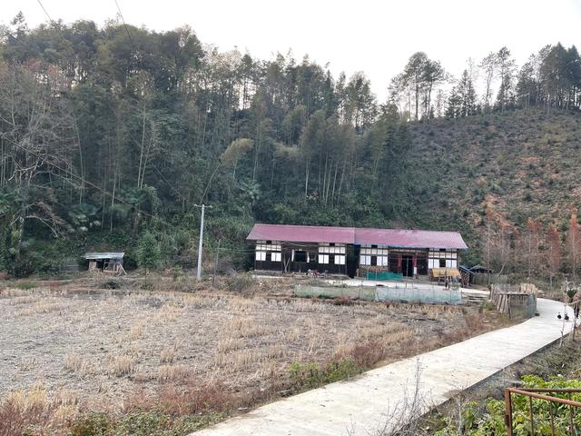六七十年代,农村家里最值钱的是什么东西？