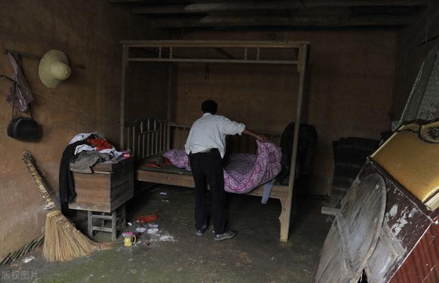 大家听过或经历过最感人的动物报恩的故事是什么？插图42