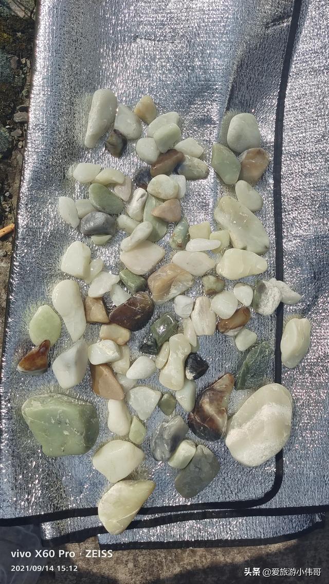 新疆的候鸟有哪些:新疆棉花质量好 新疆都有什么地方可以捡石头？现在还来得及吗？