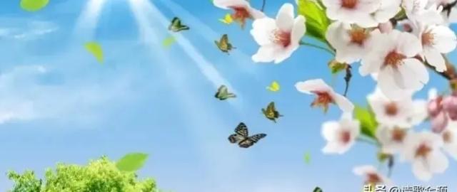 请用一句话或者一段话总结你的2021年