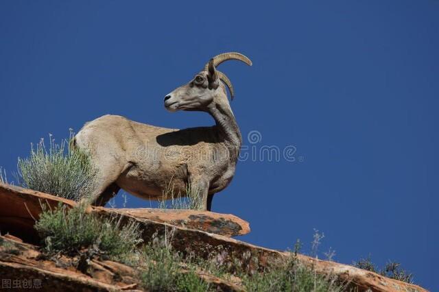 生活中总是会闷闷不乐的生肖有哪些？