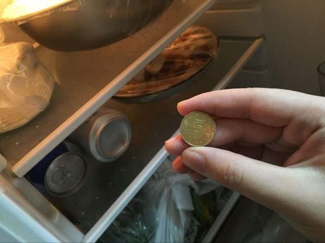 出远门时，为什么要给冰箱里放一枚硬币？插图63