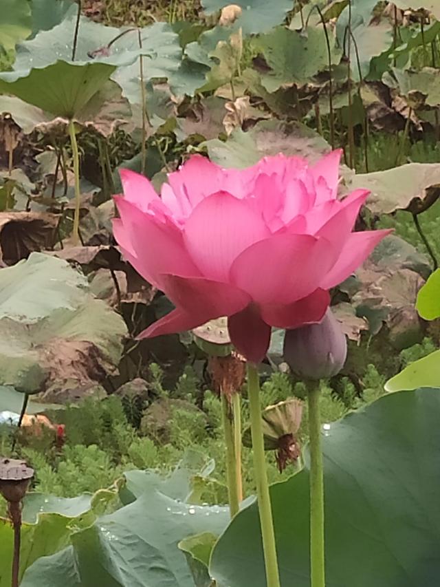 十个簸箕是穷还是富,你手上有几个螺几个簸箕？当地怎样流传的？