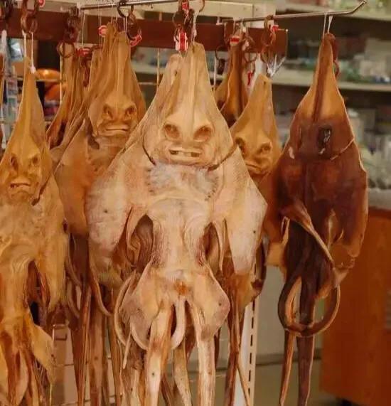 皱鳃鲨海里游泳:大海里到底存在着多少不为人知的恐怖生物？