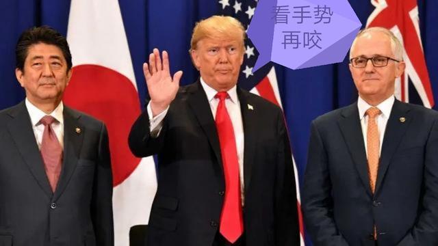 美国秋田犬性格及外型特征:母秋田犬来例假会不会造成性格反常？会这样吗？该怎么办？ 秋田犬属于牧羊犬系列吗