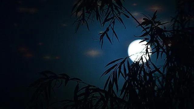 如何用“孤独伤心”写一首藏头诗？