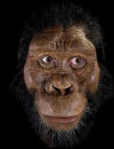 腊玛古猿南非发现的南方古猿化石,距今有二三百万年前,是猿类与人类的