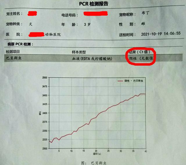 狗的寄生虫病的症状:请问狗狗得了巴贝斯虫症，服用阿托伐醌安全有效吗？