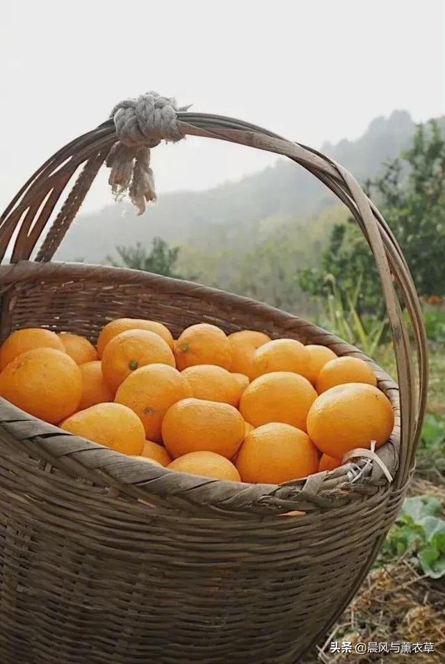 有人说清华女博士后回农村务农种地有点屈才,你是怎么看的？