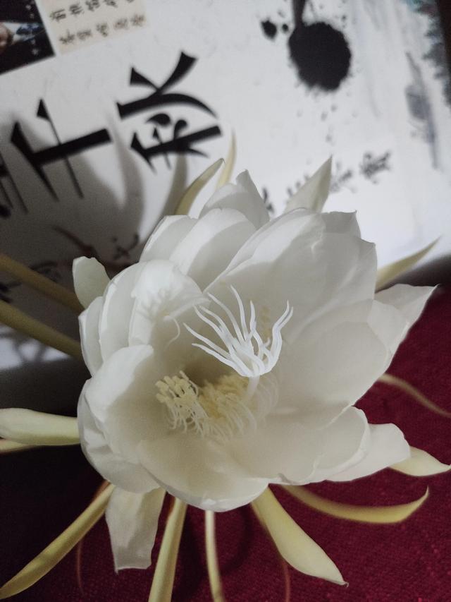 俄罗斯军事那么强大,美国敢与俄罗斯开战吗？