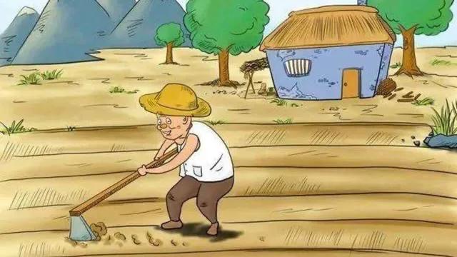头条问答 - 很多农民一年种地的收入不到一万元,他们为什么依然坚持