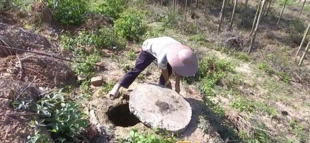 黑曼巴蛇的天敌:蛇最怕什么？在野外碰到蛇该怎么做呢？