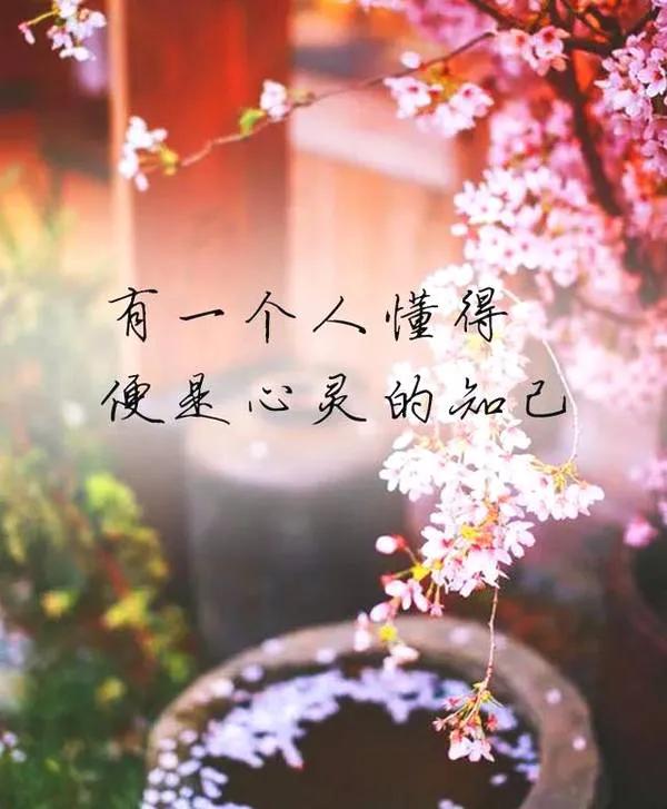 都说属鸡的和属狗的生肖合不来,因为鸡犬不宁,真的是这样吗？