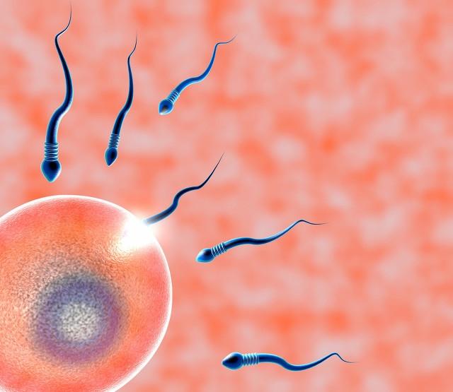 生化妊娠会导致小产吗，如何区分生化妊娠和早期流产