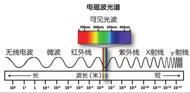 雀尾螳螂虾:自然界中有没有用电磁波交流的生物？