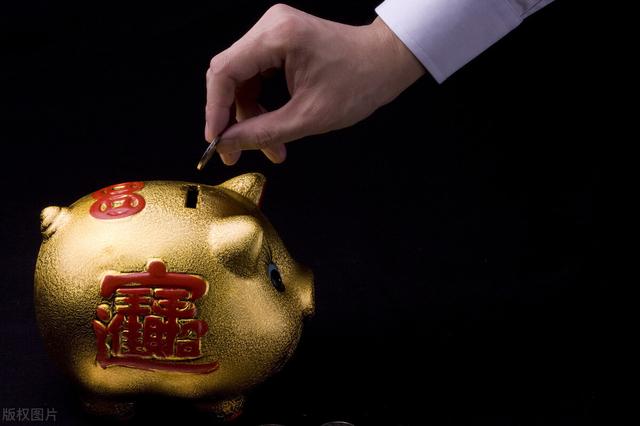 网购360宠物之家图片大全:有多少人一年四，五万都存不到？