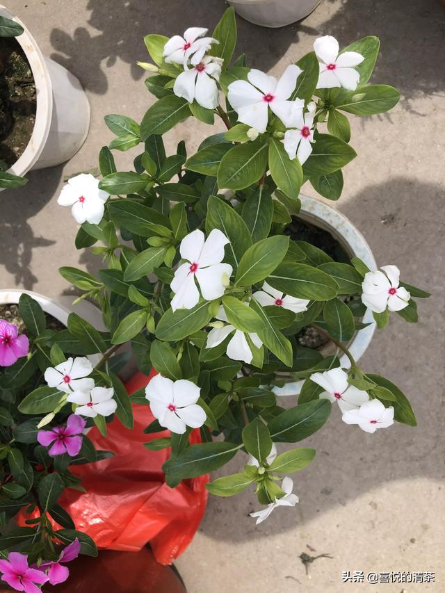 截止到现在，最让你尴尬的经历是什么？插图12