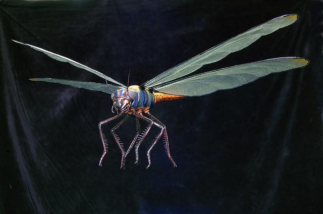 普鲁斯鳄:为什么很多史前生物要比现在生物大？