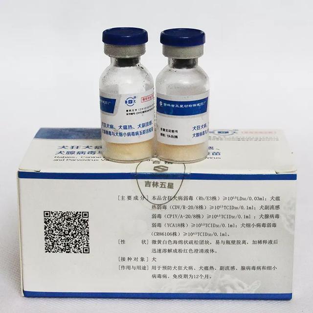 狂犬病致死率近100%，城乡养狗普遍，流浪狗泛滥，该怎么办？插图2