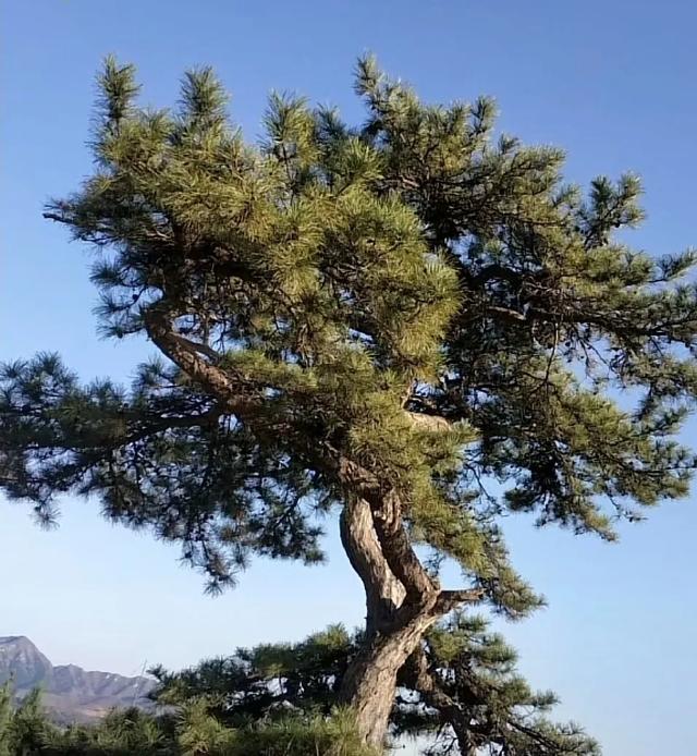 和过去年代比,哪一代人更累？