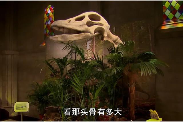 7k7k超级狗狗中文版:中琅条码打印软件安装后弹出HASP错误代码处理方法？