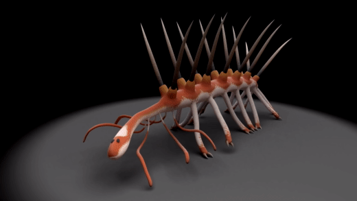 你听说过怪诞虫吗