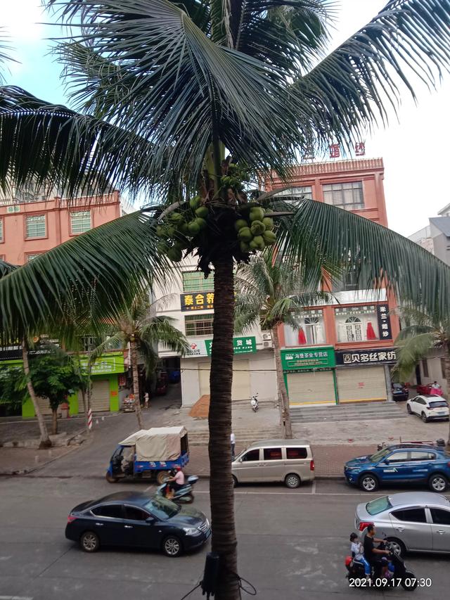 台风灿都预计今天下午穿过舟山群岛，为何大多数台风都会经过海南？