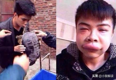 旱獭子什么样:“上岸甲鱼莫伸手，下坡野鸡不能追”，为什么这样说？有道理吗？