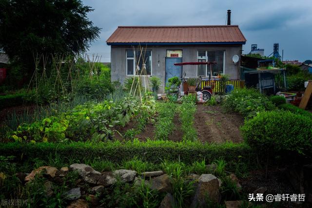 你像只会飞的偷油婆:当老公永远站在婆家立场指责老婆，又离不了婚时，老婆该怎么办？