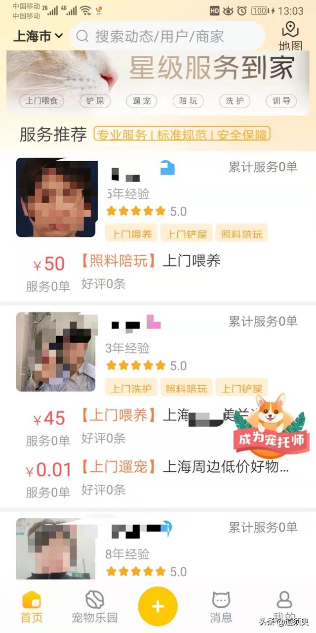宠物:宠物行业深受追求，又能给你带来什么机会呢？