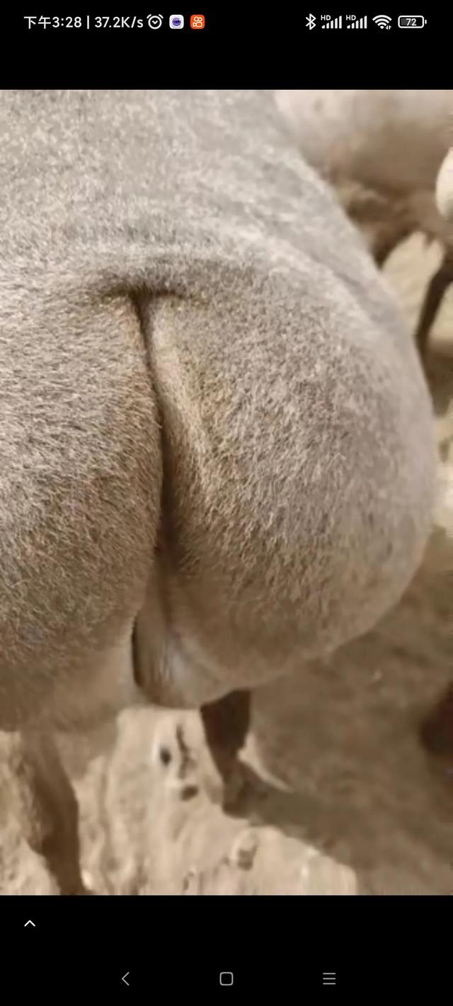人贩子有多寡廉鲜耻？