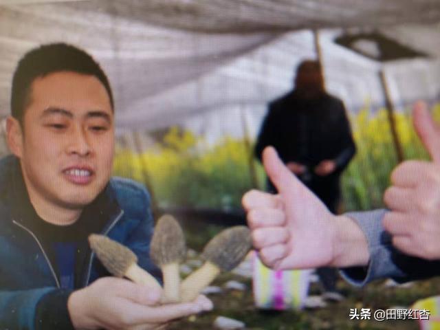 zhifang1103主页:农村32岁的剩男，感觉相亲无望了，该怎么寻找自己的生路？